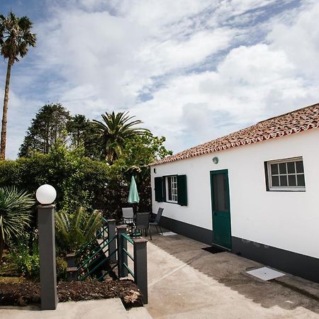 Casa Das Palmeiras São Vicente Ferreira Εξωτερικό φωτογραφία