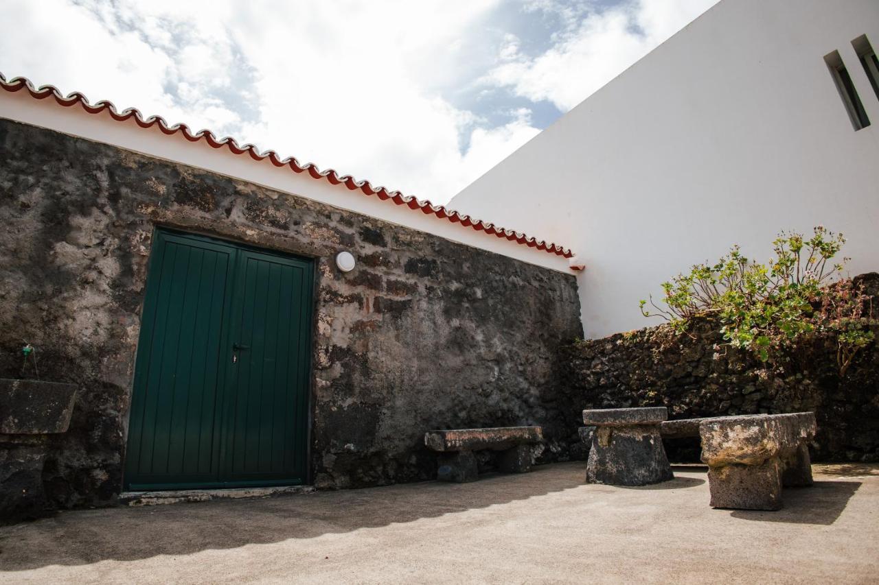 Casa Das Palmeiras São Vicente Ferreira Εξωτερικό φωτογραφία