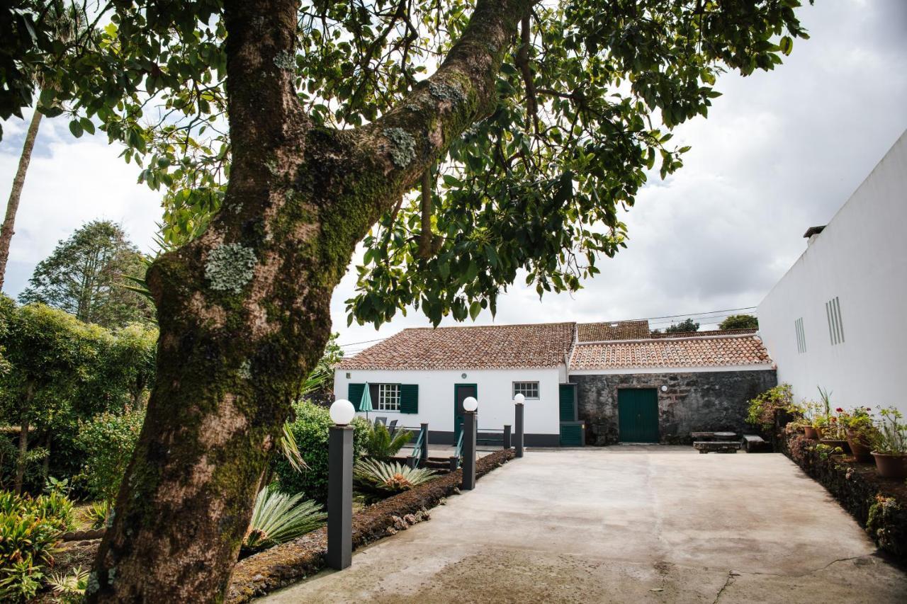 Casa Das Palmeiras São Vicente Ferreira Εξωτερικό φωτογραφία